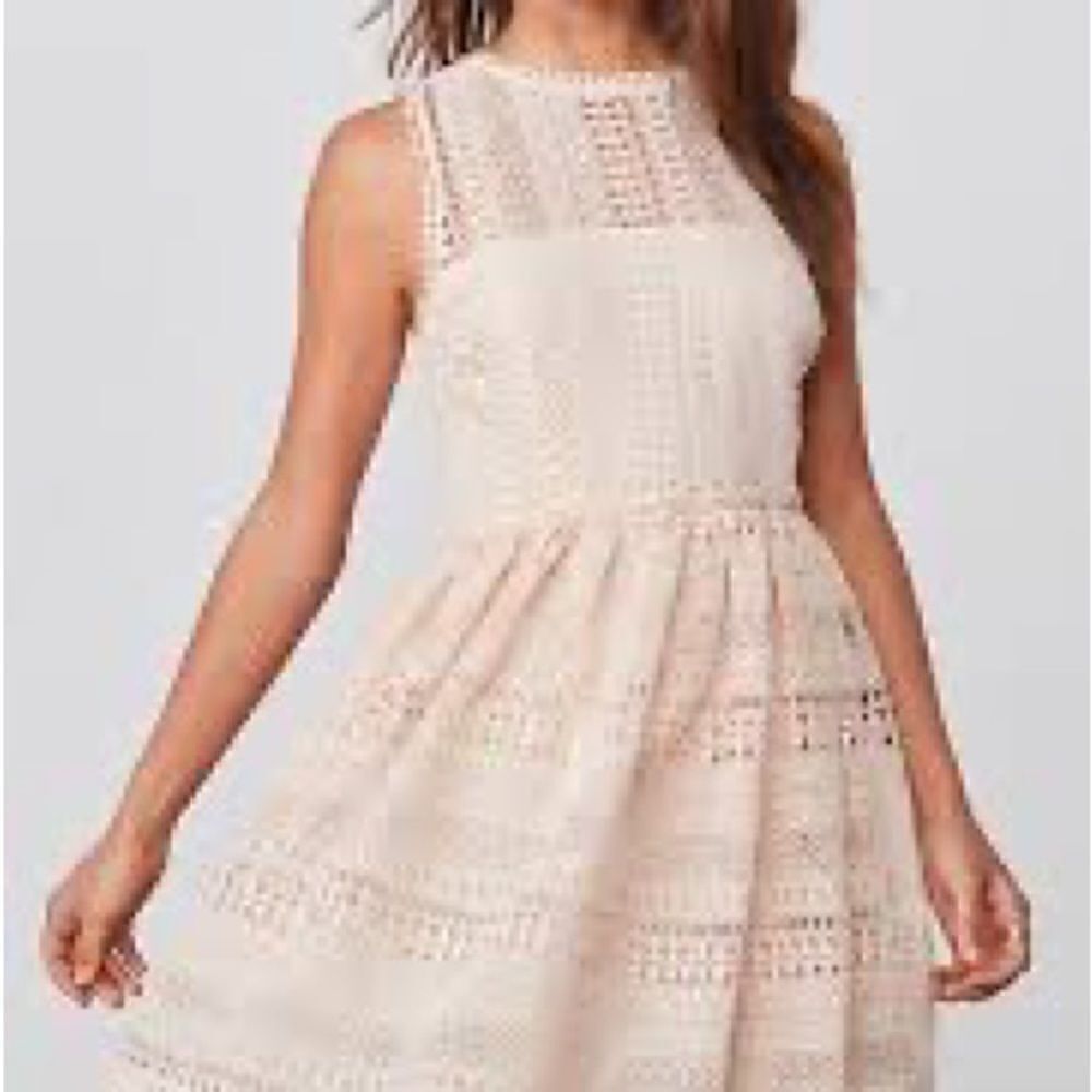 ✨BB Dakota Elissa Ivory Lace Fit and Flare Dress, NWT